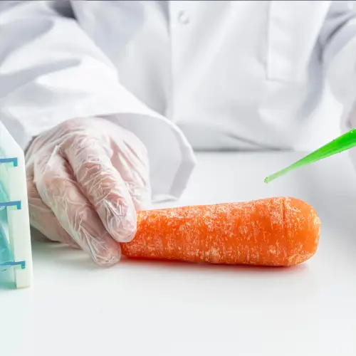 Curso de Bioquímica dos Alimentos